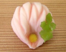 上生菓子 主菓子