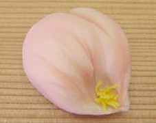 上生菓子　主菓子