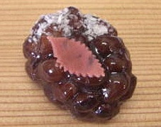 上生菓子 主菓子